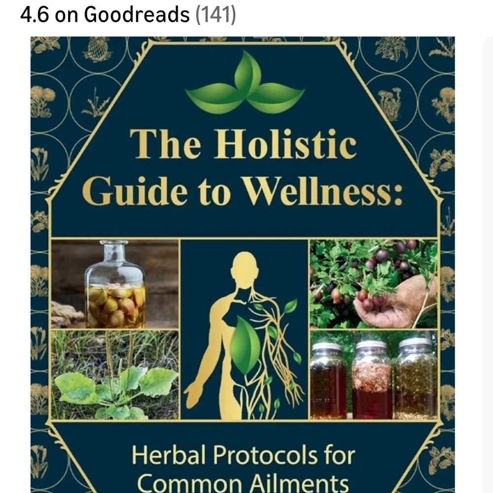 The Holistic Guide to Wellness Book